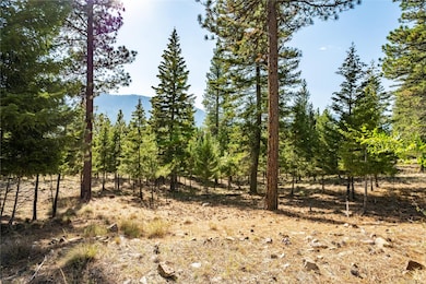 Lot 9 Stonefly Rd, Clinton, MT 59825 - photo 3