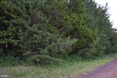 0 Rolling Hills Dr unit 1002668608, Culpeper, VA 22701 - photo 5