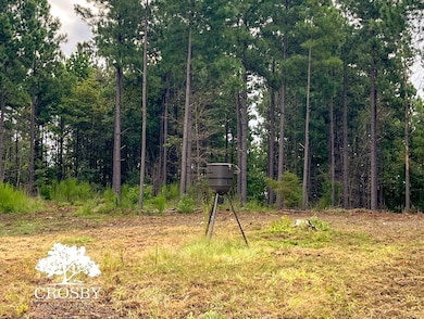 0 Jb Denton Rd, Heath Springs, SC 29058 - photo 6