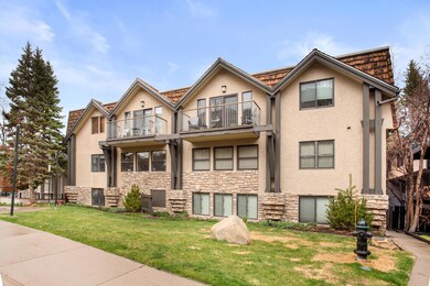 1020 E Durant Ave unit 103, Aspen, CO 81611 - photo 4
