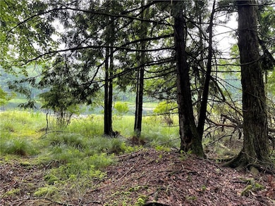 10.7 & 10.9 Cty Hwy 141 Horseshoe Lake Rd, Bethel, NY 12720 - photo 2