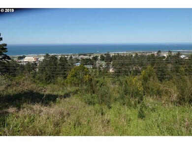 29685 Bear Mountain Rd unit 700, Gold Beach, OR 97444 - photo 7