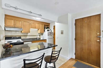 10 Commonwealth Ct unit 8, Brighton, MA 02135 - photo 6