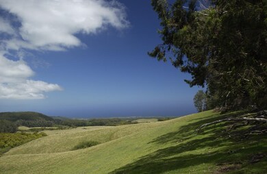 325 Waiahiwi Rd, Makawao, HI 96768 - photo 3