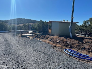 46 N8621, Concho, AZ 85924 - photo 4