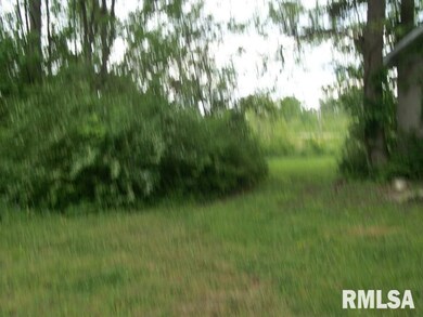 1805 Chestnut St, Harrisburg, IL 62946 - photo 6