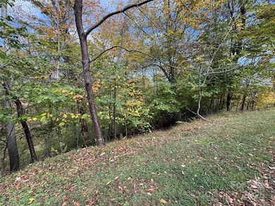 92 Goldenleaf Rd, Mars Hill, NC 28754 - photo 4