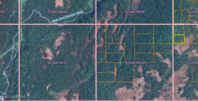 L1 B2 S Bald Mountain Asls 82-1, Talkeetna, AK 99676 - photo 4