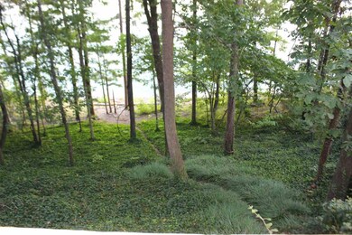 50 Carter Ln, Tumbling Shoals, AR 72581 - photo 3