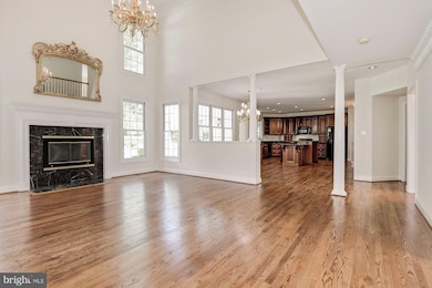 7806A Birnam Wood Dr, McLean, VA 22102 - photo 7