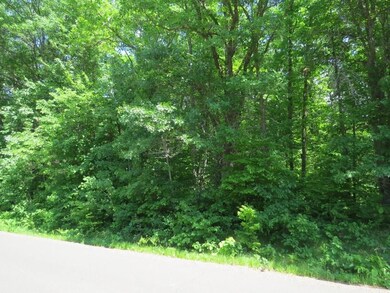 xxx Lily Lake Inn Rd, Webster, WI 54893 - photo 2