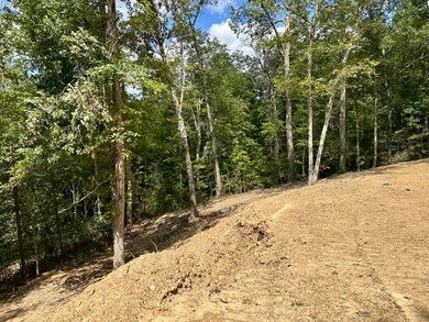 424- TRACT 4 Kentucky 577, Fogertown, KY 40962 - photo 5