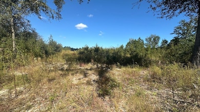 0 Waynesboro Hwy unit 25177409, Sylvania, GA 30467 - photo 7