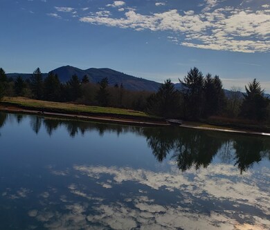 View Mountains - Copy