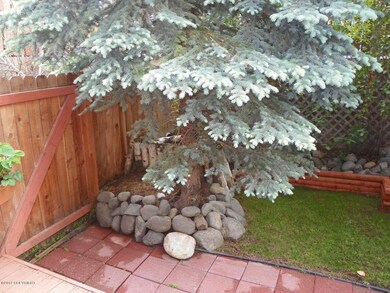 Backyard 4