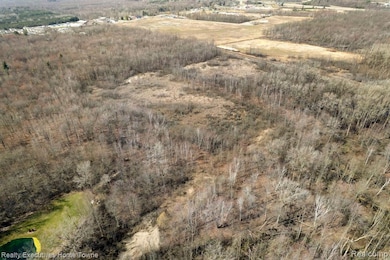 00 Griswold Rd, Smiths Creek, MI 48074 - photo 2