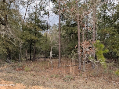 0 Starling Ave unit 768720, Marianna, FL 32448 - photo 6