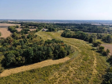 28383 290th St, Barry, IL 62312 - photo 5