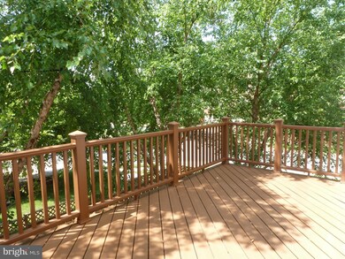 43127 Royal Fern Terrace, Broadlands, VA 20148 - photo 2