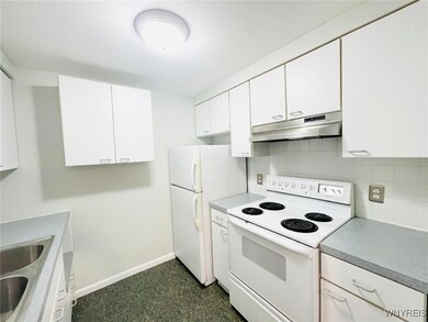 110 Charter Oaks Dr unit 3, Buffalo, NY 14228 - photo 6