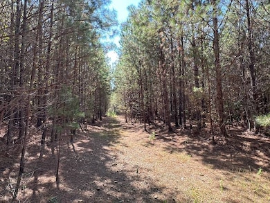 Road system through part of the property
