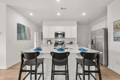 12226 Aurora Ave, Rogers, MN 55374 - photo 2