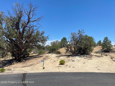 6408 Castle Place, Farmington, NM 87402 - photo 2