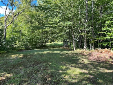 1028 Goodnow Flow Rd, Newcomb, NY 12852 - photo 7