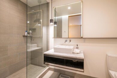 Lower Level Guest Bathroom