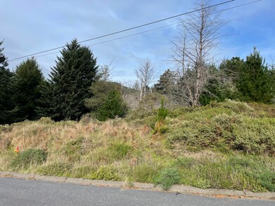 35 Debbie Ln, Whitethorn, CA 95589 - photo 4