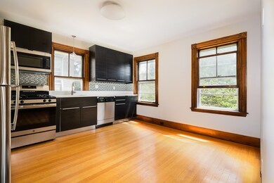 3 Monmouth St unit 3, Somerville, MA 02143 - photo 2