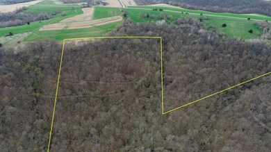 XXXX County 26, Money Creek Township, MN 55943 - photo 4