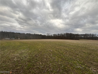 0 Ohio 225 unit 5174573, Diamond, OH 44412 - photo 5