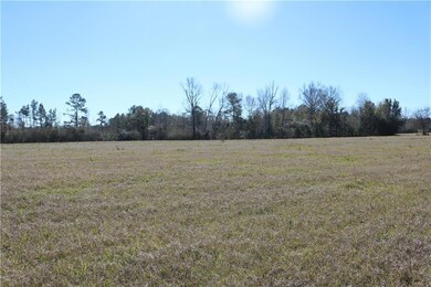 Lot 7 Zack Magee Rd, Franklinton, LA 70438 - photo 3