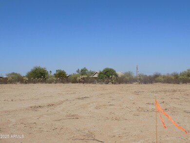 1.25 E Tbd-Cactus Forest & N Reed Rd unit 3, Florence, AZ 85132 - photo 7