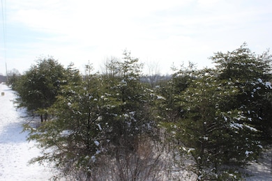 Frontage Pines
