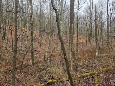 0 Beech Tree Rd unit B1653186, Ashford, NY 14141 - photo 2