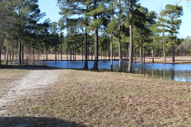 0 Highway 221 unit 451326, McDuffie, GA 30808 - photo 3