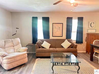 897 SE 1021 Rd, Deepwater, MO 64740 - photo 6