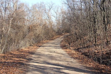 0 Cisco Rd, Berryville, AR 72616 - photo 5