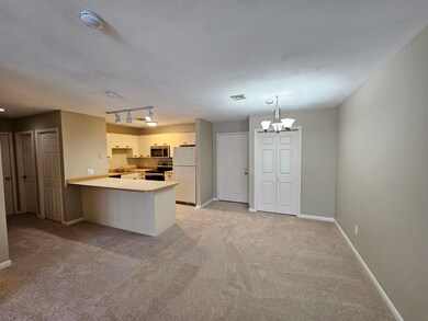 Stoney Creek Condominiums unit 17, Milford, NH 03055 - photo 4