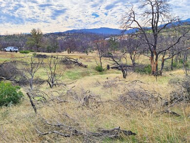 Gentle terrain