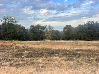 2425 Fiddlers Close Rd unit 107 STB, Washington, MO 63090 - photo 3