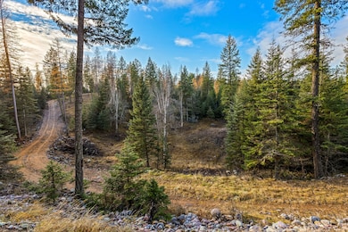 48 Trillium Way, Kalispell, MT 59901 - photo 6