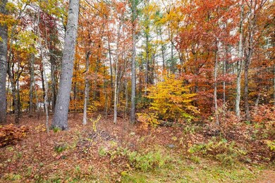 6 Pinewood Cove, Raymond, NH 03077 - photo 5