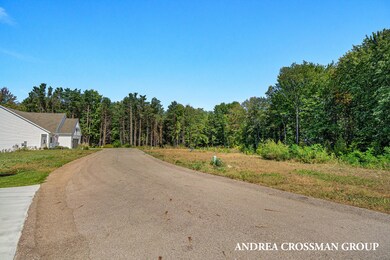 18154 Newgate Ln unit Lot 14, Spring Lake, MI 49456 - photo 4