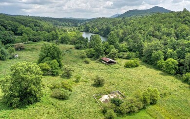 1443 Cutcane Rd, Mineral Bluff, GA 30559 - photo 3