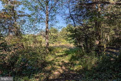 0 Orange Rd unit VAMA2002476, Pratts, VA 22731 - photo 6