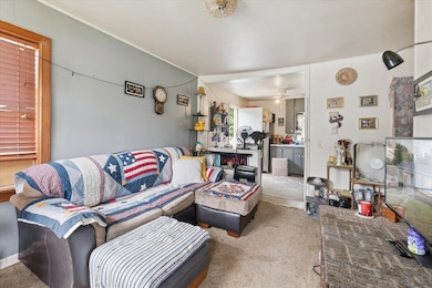 1529 S Pennsylvania Ave, Lansing, MI 48910 - photo 5