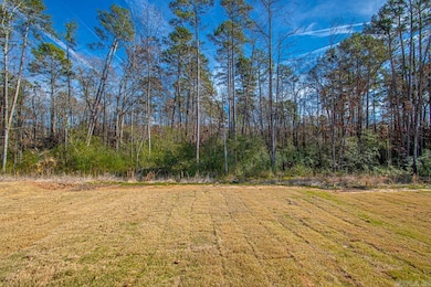 13414 Teton Dr, Little Rock, AR 72211 - photo 7